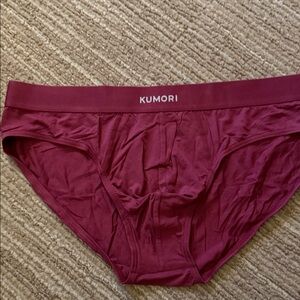 Men's Burgundy Briefs